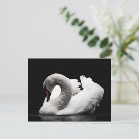 Swan-Postkarte Postkarte (Stehend Vorderseite)