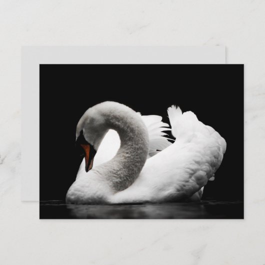 Swan-Postkarte Postkarte (Vorne/Hinten)