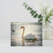 Swan-Postkarte Postkarte (Stehend Vorderseite)