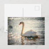 Swan-Postkarte Postkarte (Vorne/Hinten)