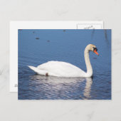 Swan-Postkarte Postkarte (Vorne/Hinten)