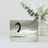 Swan-Postkarte Postkarte (Stehend Vorderseite)
