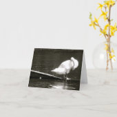 Swan Preening Note Card by Brad Hines Karte (Gelbe Blume)