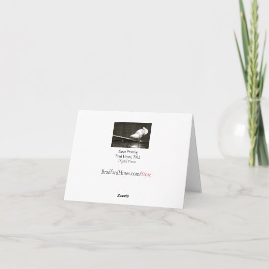 Swan Preening Note Card by Brad Hines Karte (Rückseite)
