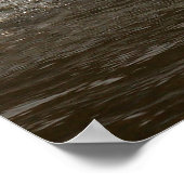 Swan Print plashend Poster (Ecke)