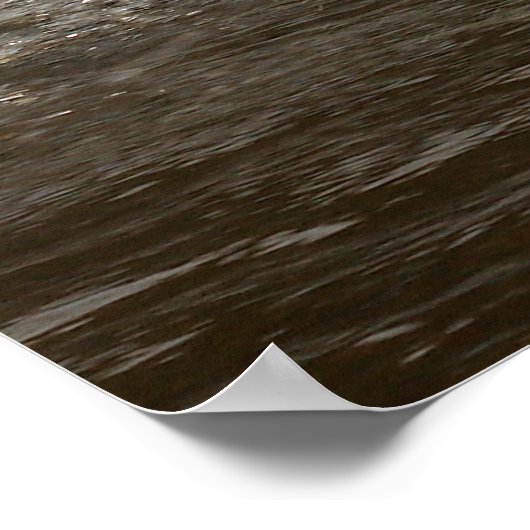 Swan Print plashend Poster (Ecke)