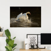 Swan Print plashend Poster (Heimbüro)