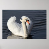 Swan Print Poster (Vorne)