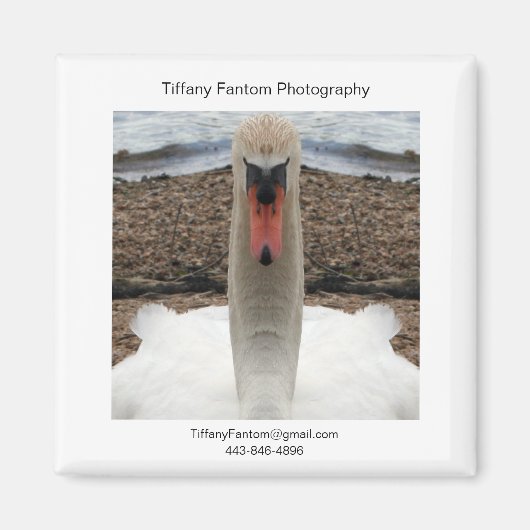 Swan Promo Piece Magnet (Vorne)