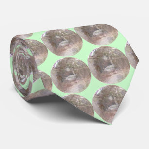 Swan-Prophezeiung Krawatte