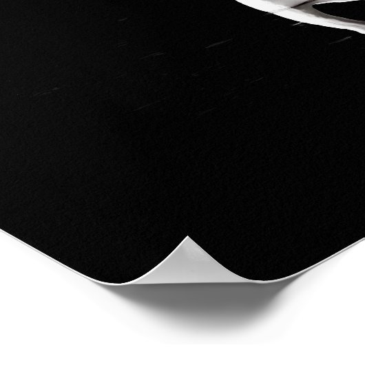 Swan Reflection Poster (Ecke)