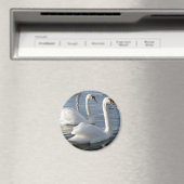 Swan Reflections Magnet (In Situ (Geschirrspüler))