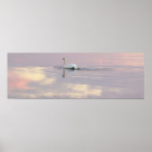 Swan Reflections Poster (Vorne)