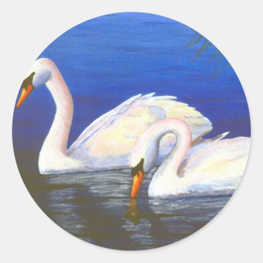 Swan Reflections Sticker (Vorderseite)