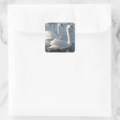 Swan Reflections Stickers (Tasche)