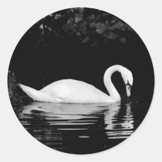 Swan, Roath Park, Cardiff. Runder Aufkleber