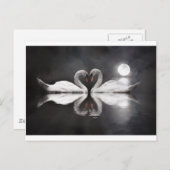 Swan-Romantik Postkarte (Vorne/Hinten)
