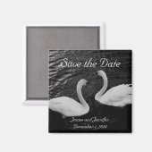 Swan Save the Date Magnet (Vorderseite/Rückseite)