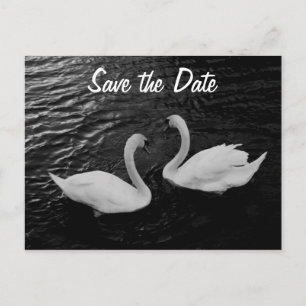Swan Save the Date Postcard Ankündigungspostkarte