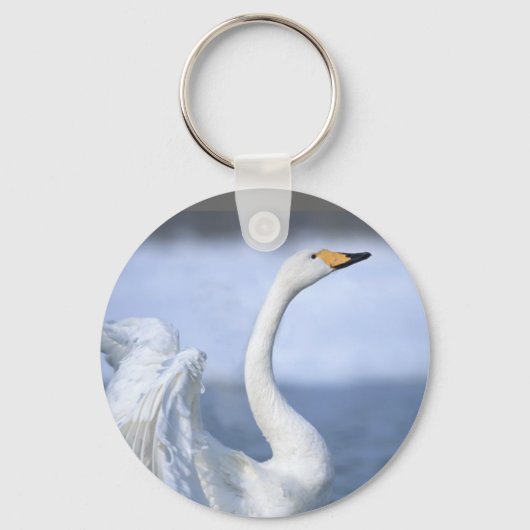 Swan Schlüsselanhänger (Vorderseite)