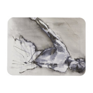 Swan See 2001 Magnet