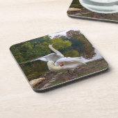 Swan-See Getränkeuntersetzer (Linke Seite)