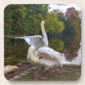 Swan-See Getränkeuntersetzer (Vorderseite)