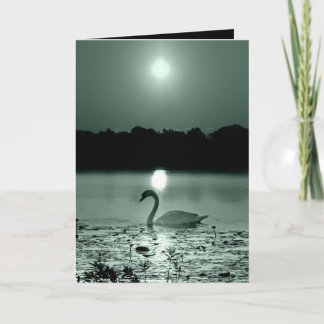 Swan See Karte