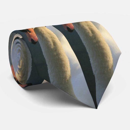 Swan See-Krawatte! Krawatte (Gerollt)