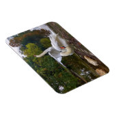 Swan-See Magnet (Rechte Seite)