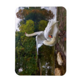 Swan-See Magnet (Vertikal)