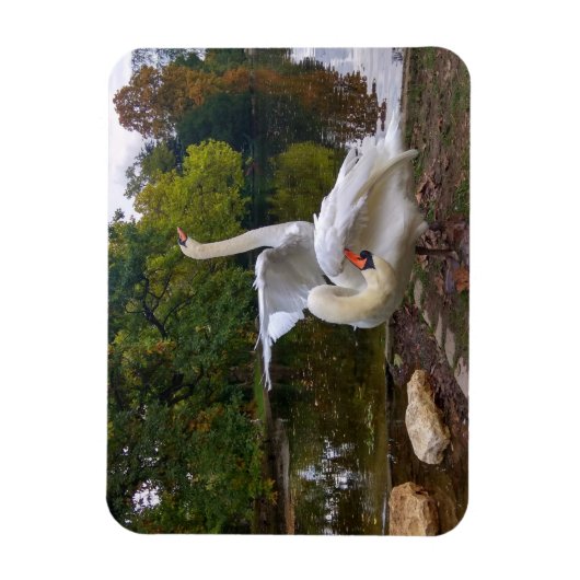 Swan-See Magnet (Vertikal)