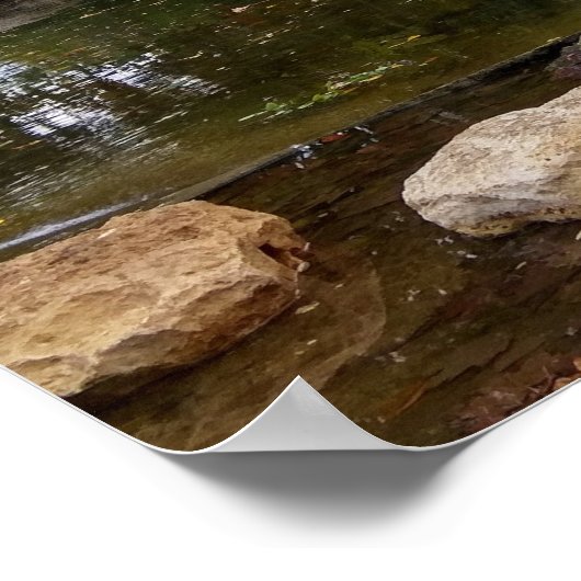 Swan-See Poster (Ecke)