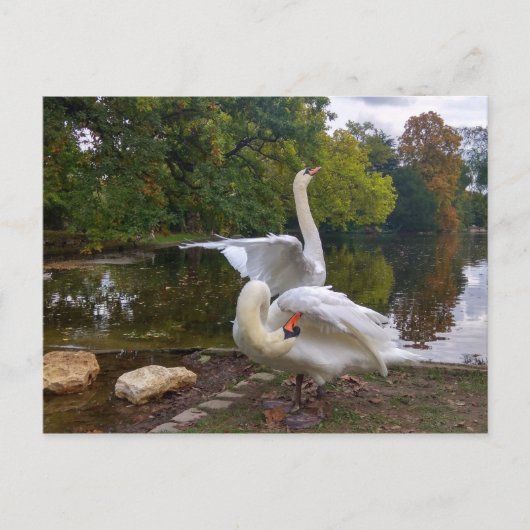 Swan-See Postkarte (Vorderseite)