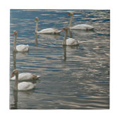 Swan Song Fliese (Vorderseite)