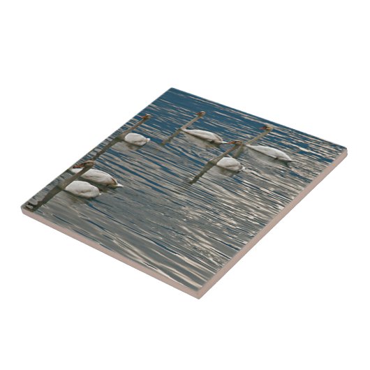 Swan Song Fliese (Seite)