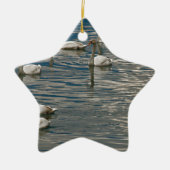 Swan Song Keramik Ornament (Vorne)