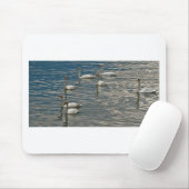 Swan Song Mousepad (Mit Mouse)