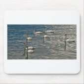 Swan Song Mousepad (Vorne)