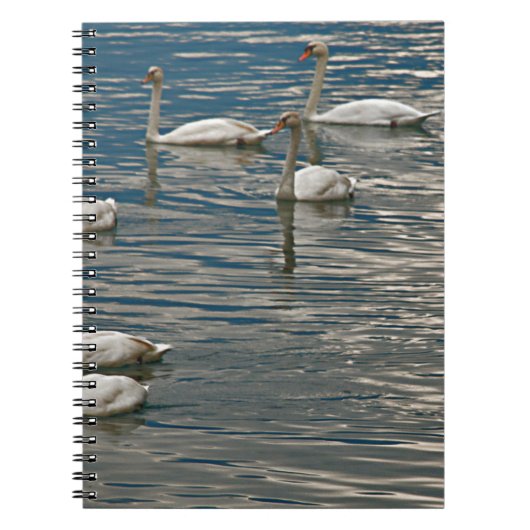 Swan Song Notizblock (Vorderseite)