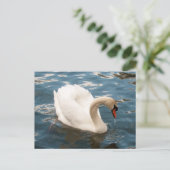 Swan Song Postkarte (Stehend Vorderseite)