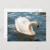 Swan Song Postkarte (Vorne/Hinten)