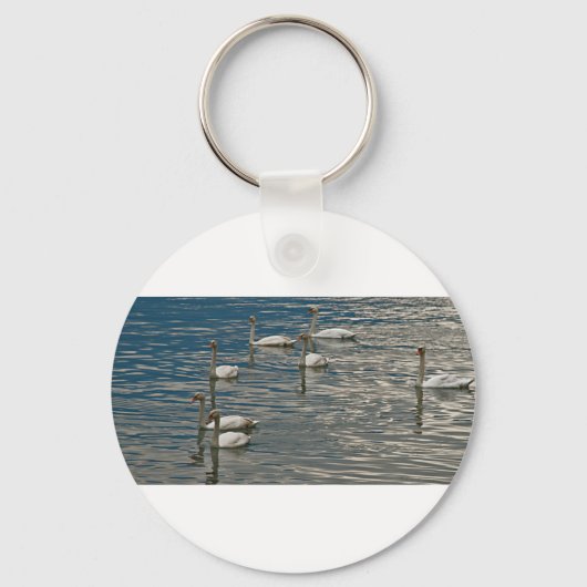 Swan Song Schlüsselanhänger (Vorderseite)