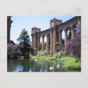Swan Songs Palace of Fine Arts Foto Postcards Postkarte