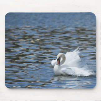 Swan Splashing im Wasser Mousepad
