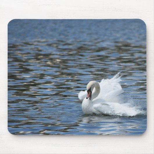 Swan Splashing im Wasser Mousepad (Vorne)