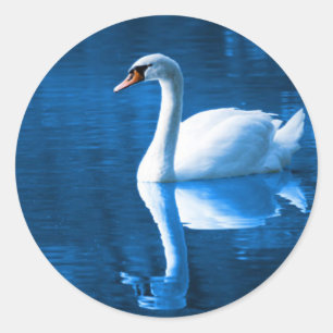 Swan Sticker