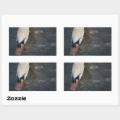 Swan Stickers (Blatt)