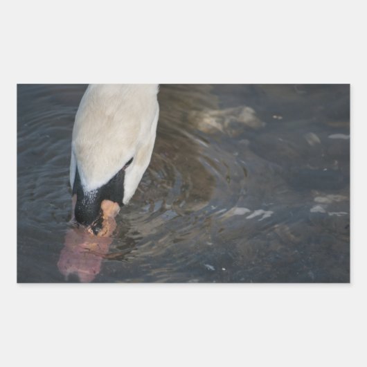 Swan Stickers (Vorderseite)