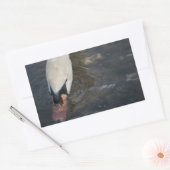 Swan Stickers (Umschlag)